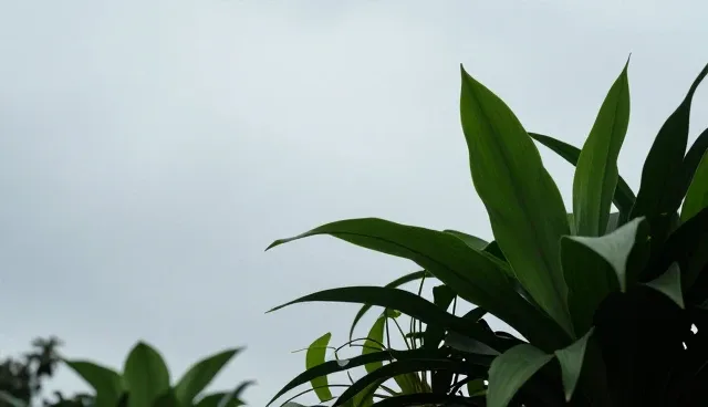 商务正装应用场景中的供货保障实践